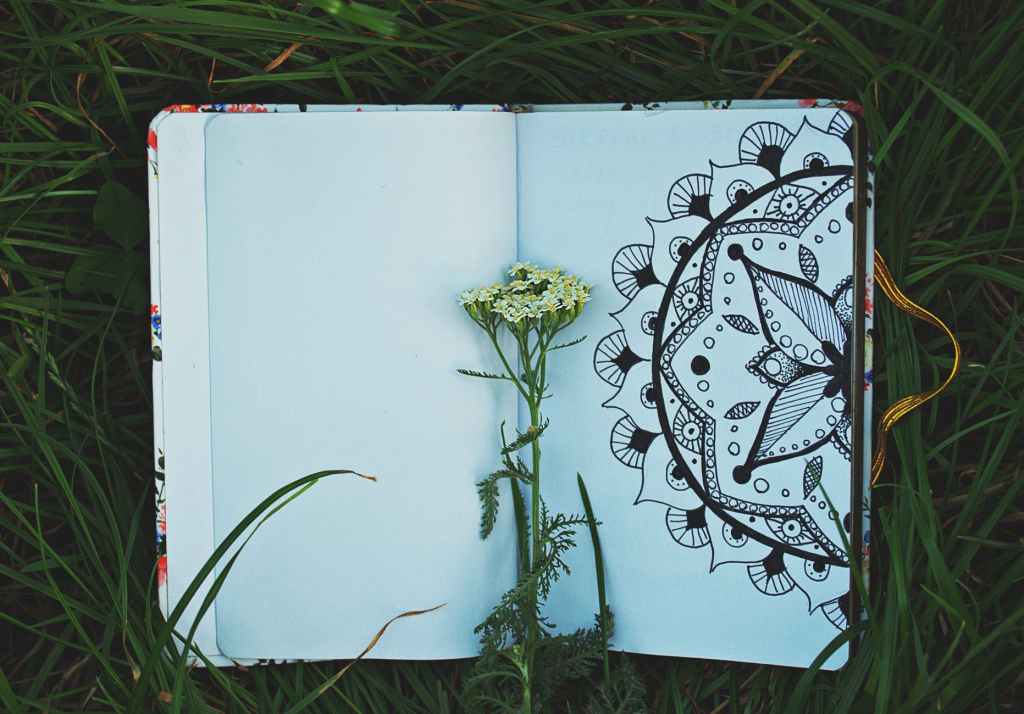 An open book with a white flower, representing reflection, growth, and intentional living